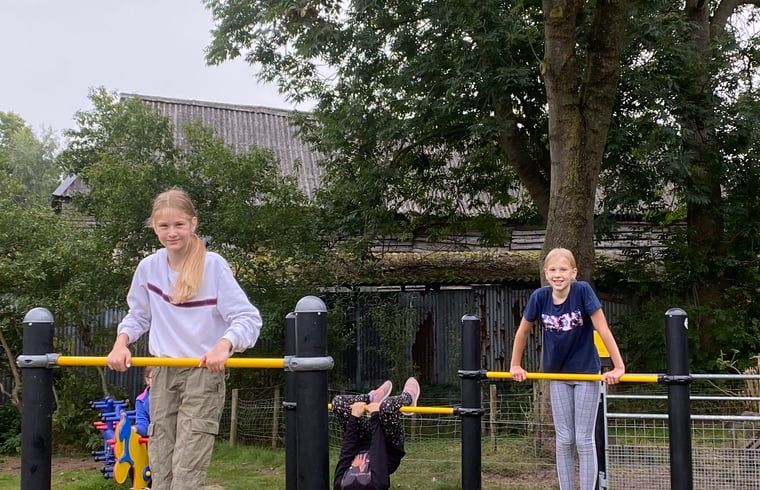 Unterkunft 201414 - Ferienhaus Zuidwest Drenthe - Huisje in Ruinerwold