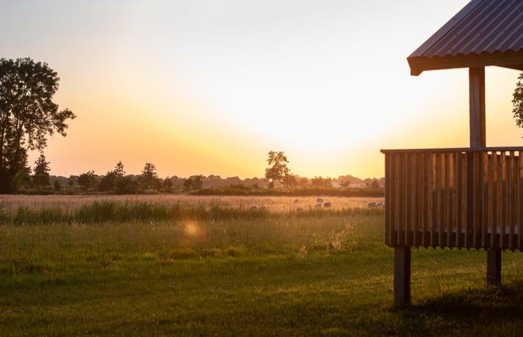 Geniessen Sie den Sonnenuntergang von der Veranda des Ferienhauses in Ruinerwold, umgeben von der Natur von Sued-West-Drenthe, Drenthe.