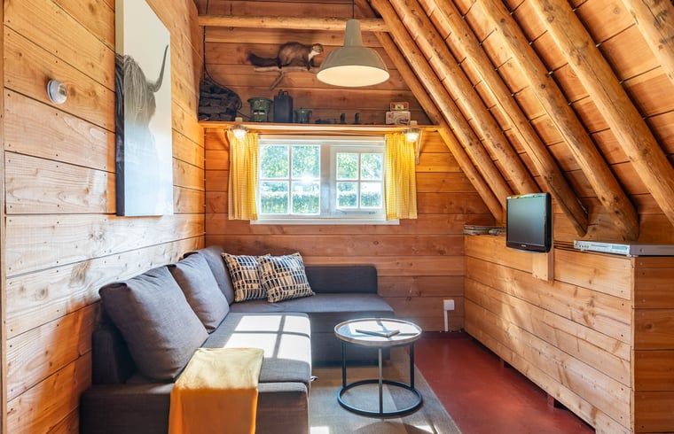 Modernes Badezimmer im Ferienhaus in Ruinerwold, Drenthe mit Dusche und Holzdetails.