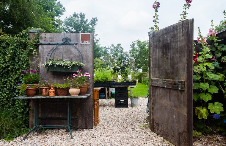 Malerischer Garten im Ferienhaus in Ruinerwold, einem attraktiven Ferienhaus im Suedwesten von Drenthe.