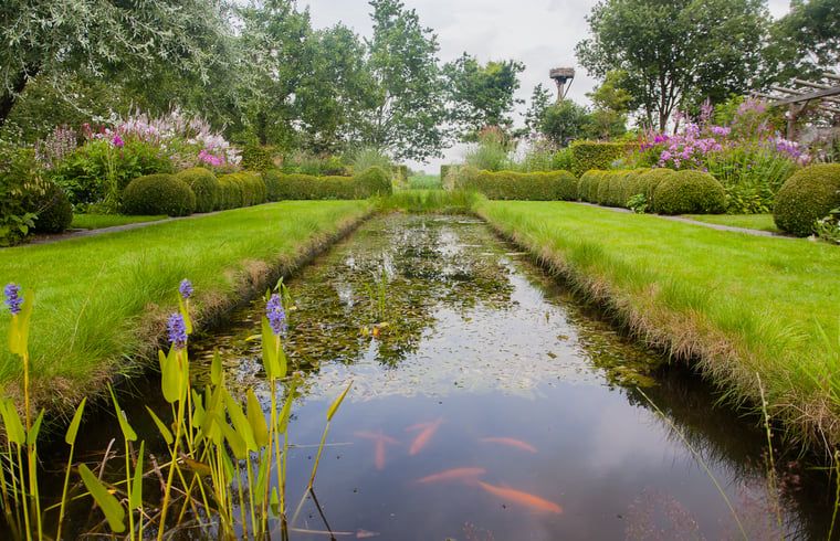 Teich mit Fischen im Ferienhaus in Ruinerwold, einem ruhigen Ferienhaus in Drenthe.
