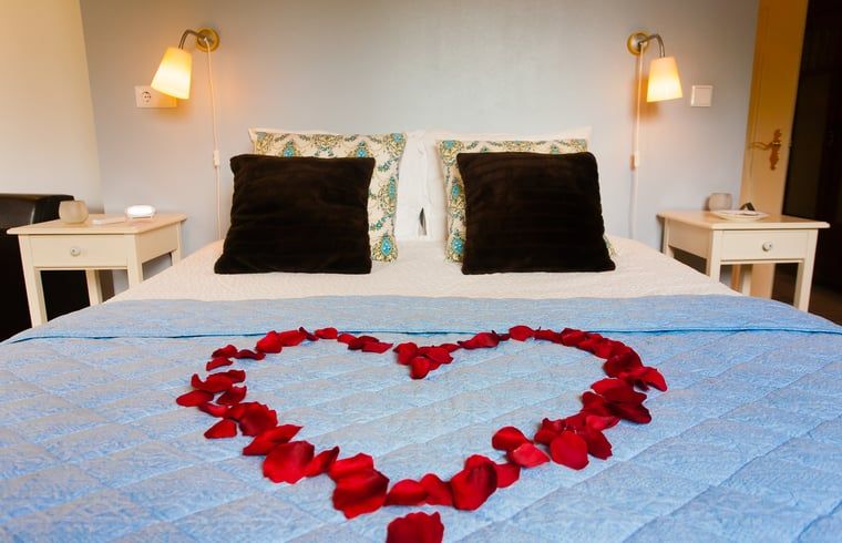 Blick aus dem Zimmer des Ferienhauses in Ruinerwold, einem rustikalen Ferienhaus im Suedwesten von Drenthe.