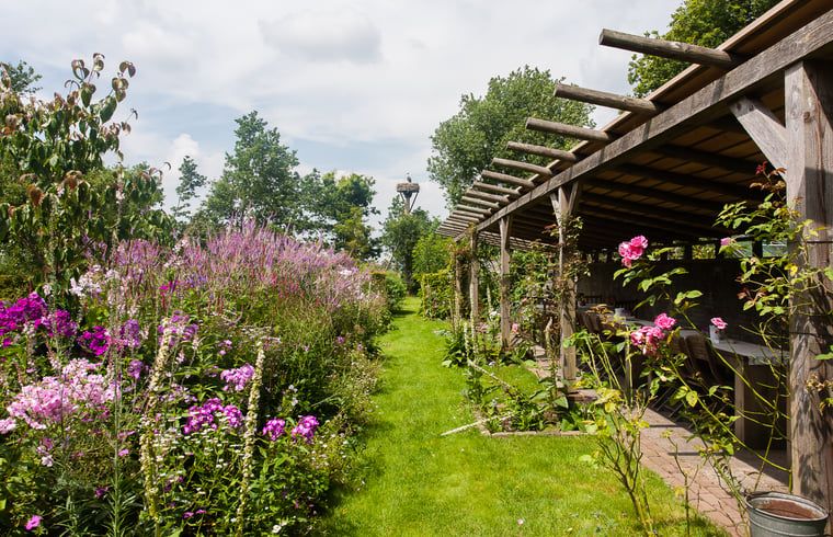 Unterkunft 201421 - Ferienhaus Zuidwest Drenthe - Vakantiehuisje in Ruinerwold