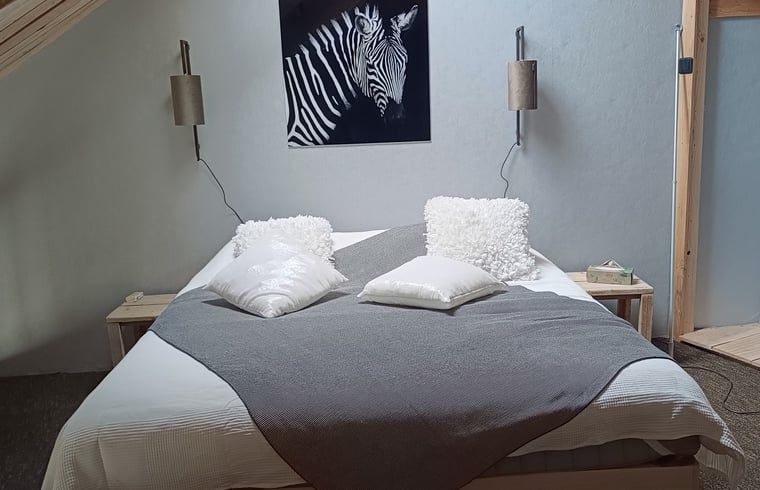 Guest house 201426 - Holiday property Zuidwest Drenthe - Vakantiehuis in Ruinerwold