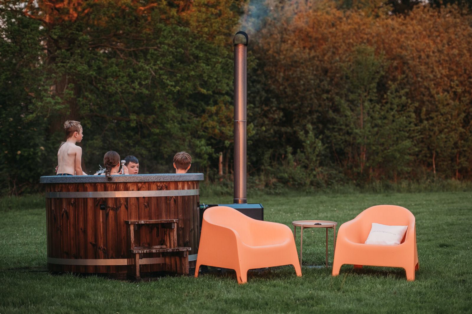 Unterkunft 201433 - Ferienhaus Zuidwest Drenthe - Wellness lodge