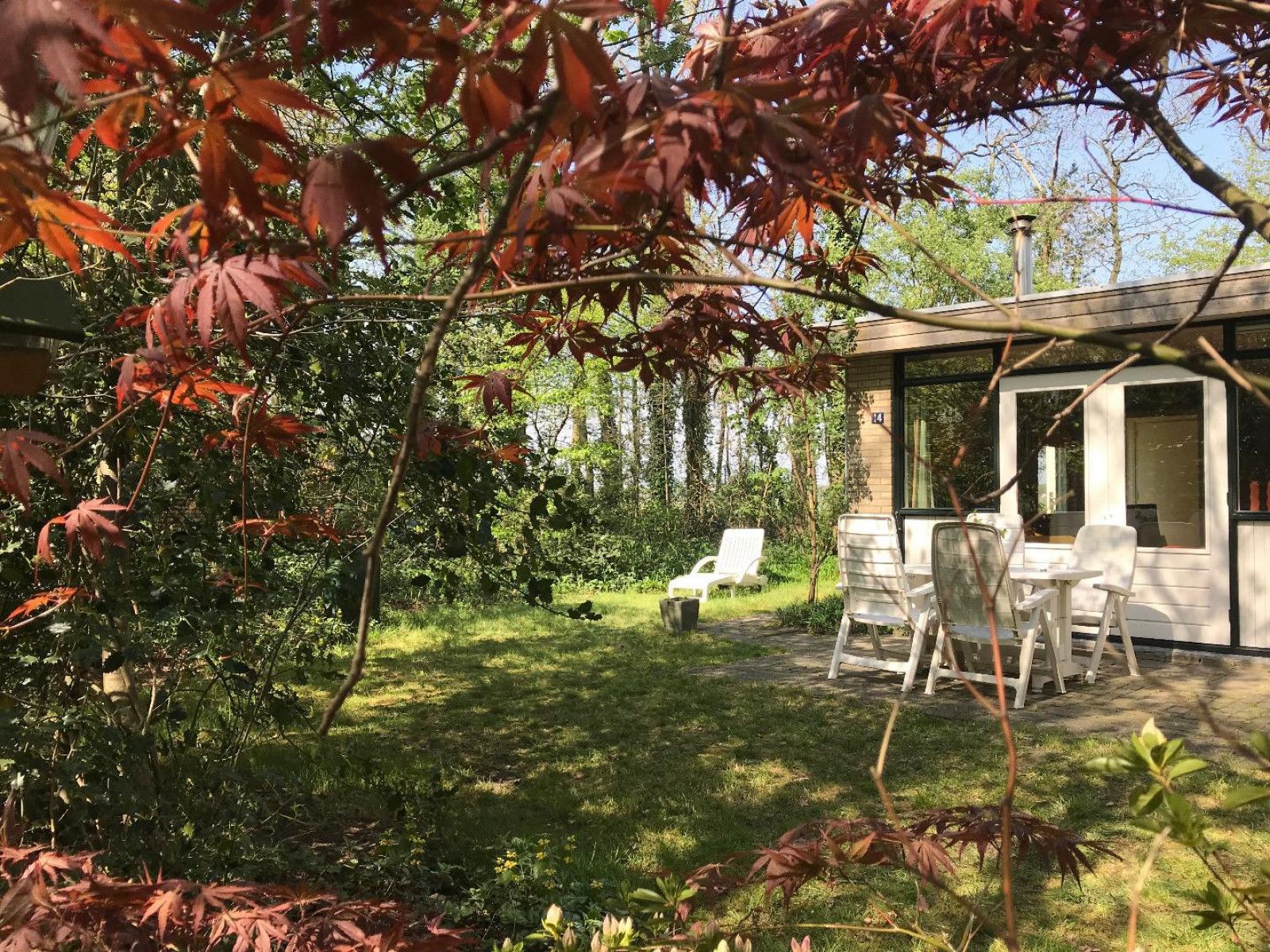 Foto 1