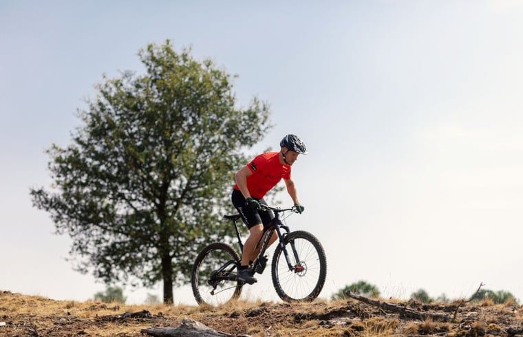 Verblijf 201514 - Chalet Zuidwest Drenthe - Huisje in Zorgvlied