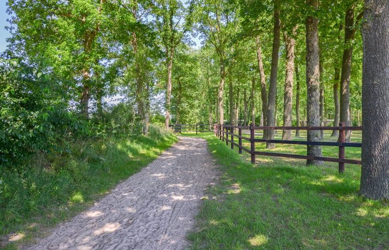 Verblijf 201514 - Chalet Zuidwest Drenthe - Huisje in Zorgvlied