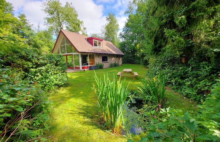 Vakantiehuis in Zorgvlied in Zuidwest Drenthe, omringd door groen met vijver en picknicktafel.
