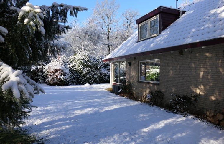 Sneeuw bedekt de tuin van Vakantiehuis in Zorgvlied in Zuidwest Drenthe, met groen en serene stilte.