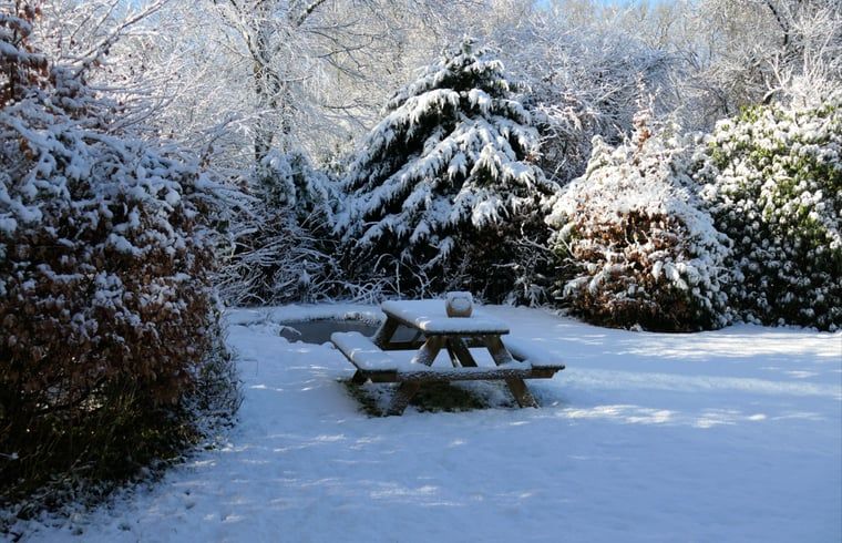 Besneeuwde picknicktafel in de tuin van Vakantiehuis in Zorgvlied, Zuidwest Drenthe, omringd door bomen.