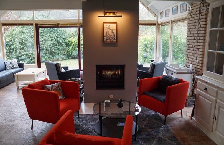 Gezellige woonkamer in Vakantiehuis in Zorgvlied, Zuidwest Drenthe, met open haard en moderne zitplaatsen.