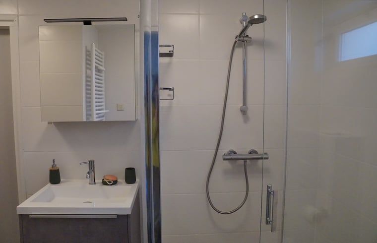 Stijlvolle badkamer met douche in Vakantiehuis in Zorgvlied, Zuidwest Drenthe, voor comfort en luxe.