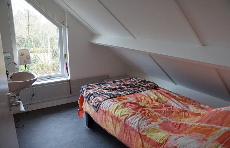 Knusse slaapkamer in Vakantiehuis in Zorgvlied, Zuidwest Drenthe, met enkel bed en uitzicht op de natuur.