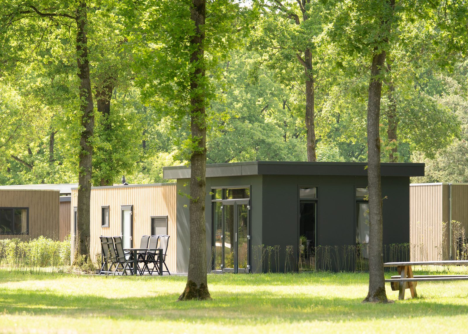 Drenthelodge | Berging | 6 Pers vakantiehuis in Zorgvlied, Drenthe, omgeven door groene natuur en rustgevende omgeving.