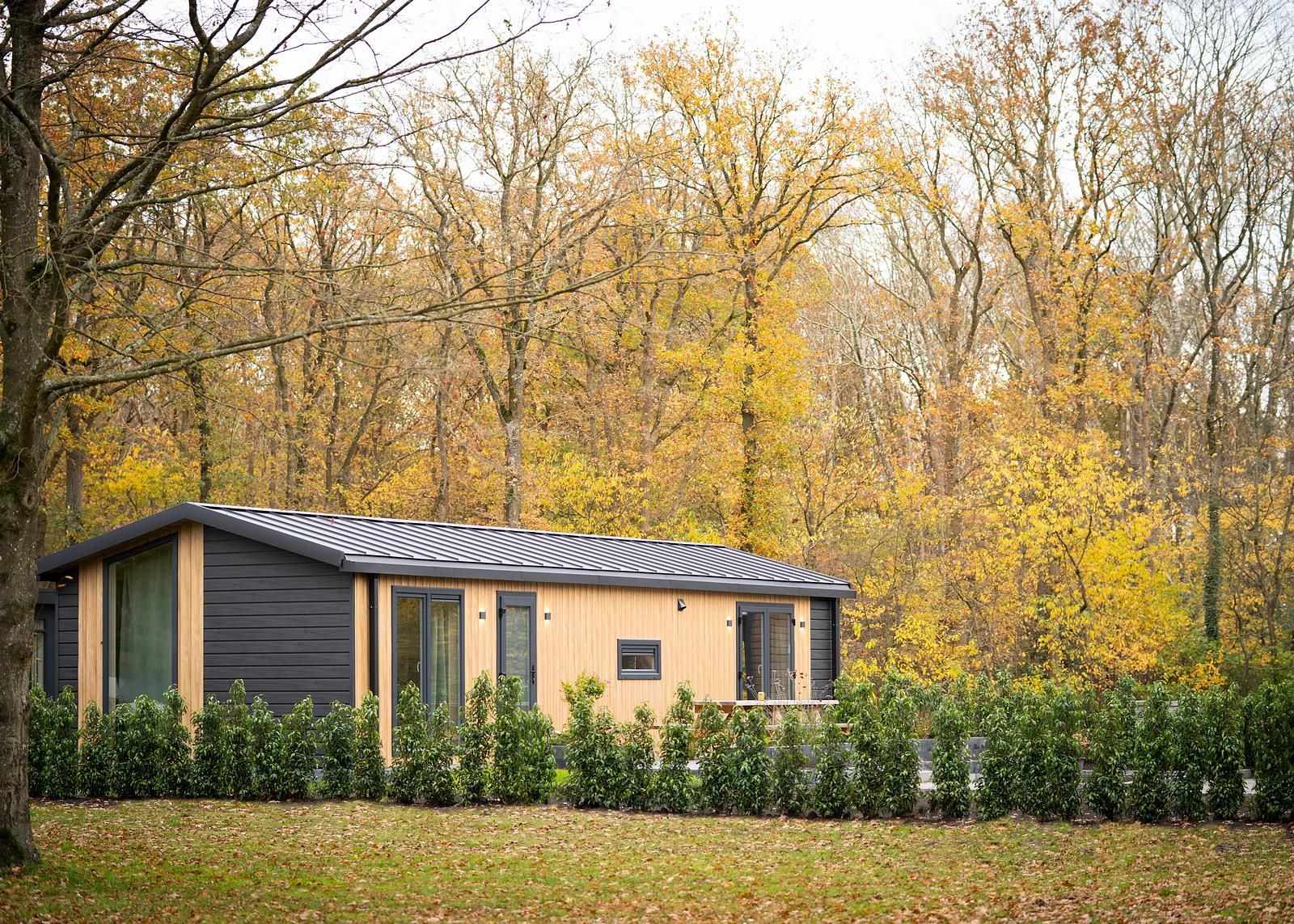 Verblijf 201538 - Vakantiewoning Zuidwest Drenthe - Aekinger Lodge | 4 Pers