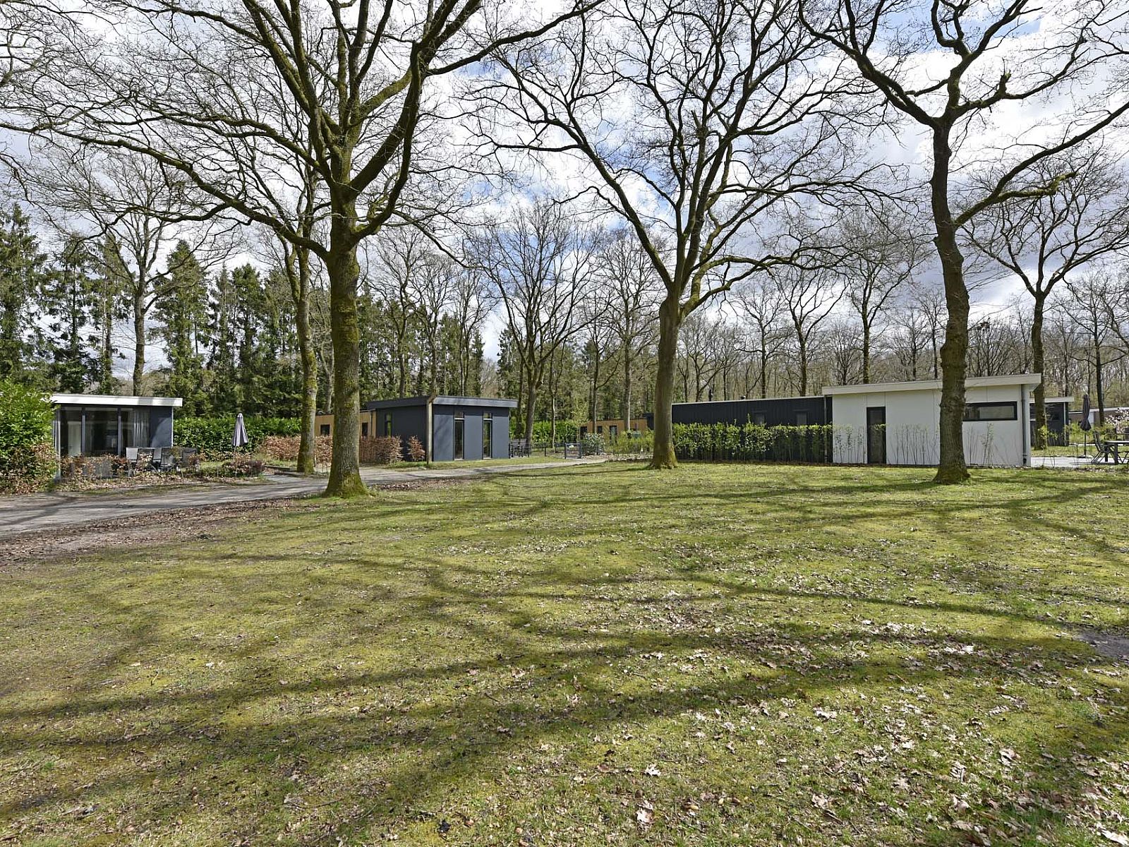 Unterkunft 201545 - Chalet Zuidwest Drenthe - Chalet in Zorgvlied