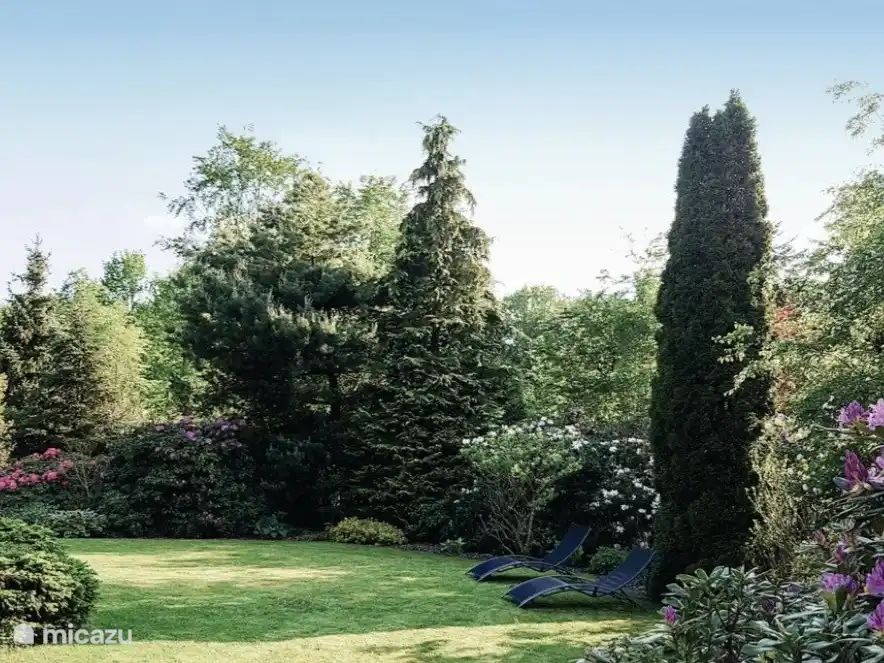 Unterkunft 201552 - Ferienhaus Zuidwest Drenthe - Bella Nova