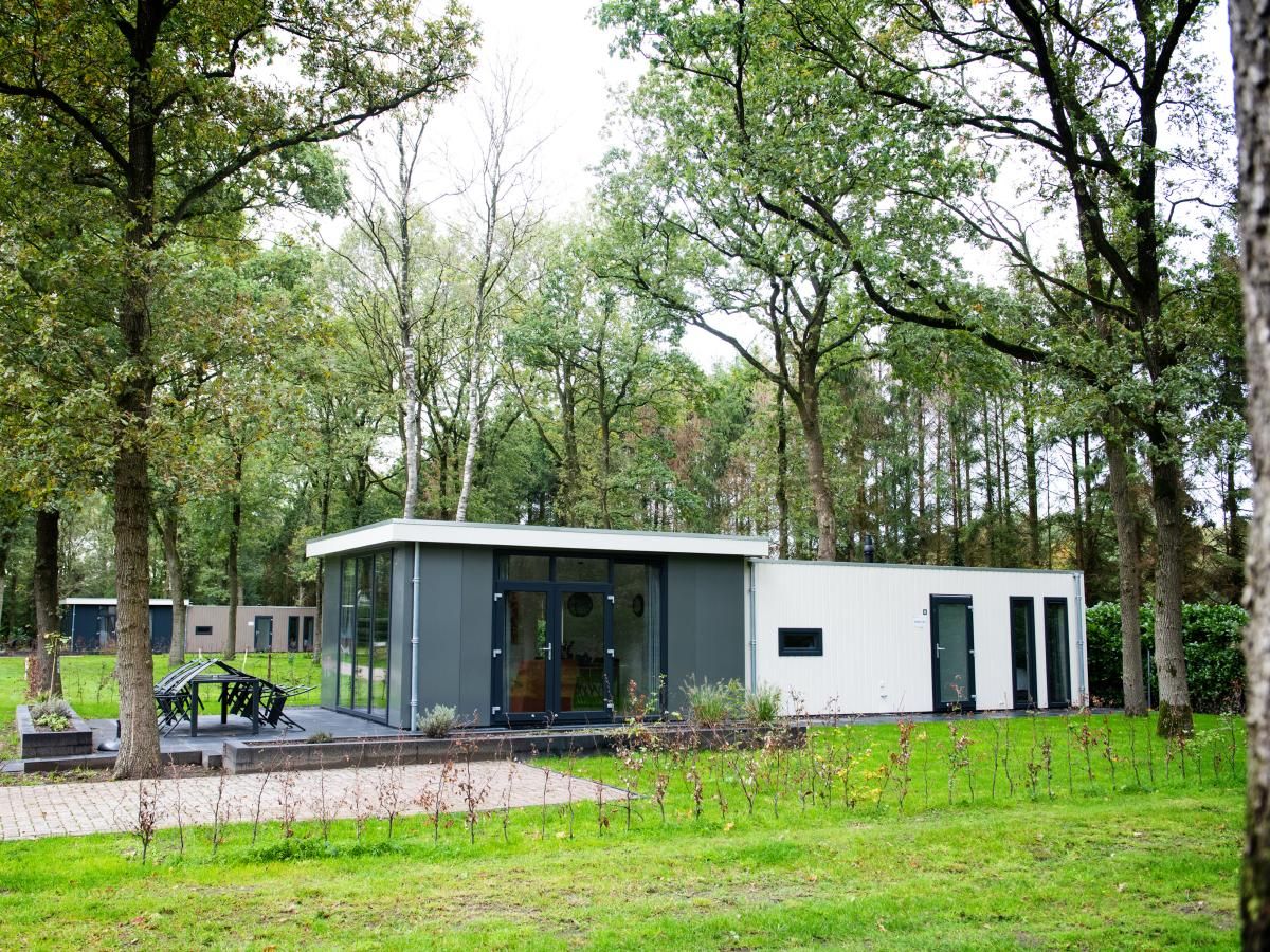 De Ganzenpoel chalet in Zorgvlied, Zuidwest Drenthe, omgeven door groene natuur en rustieke charme.