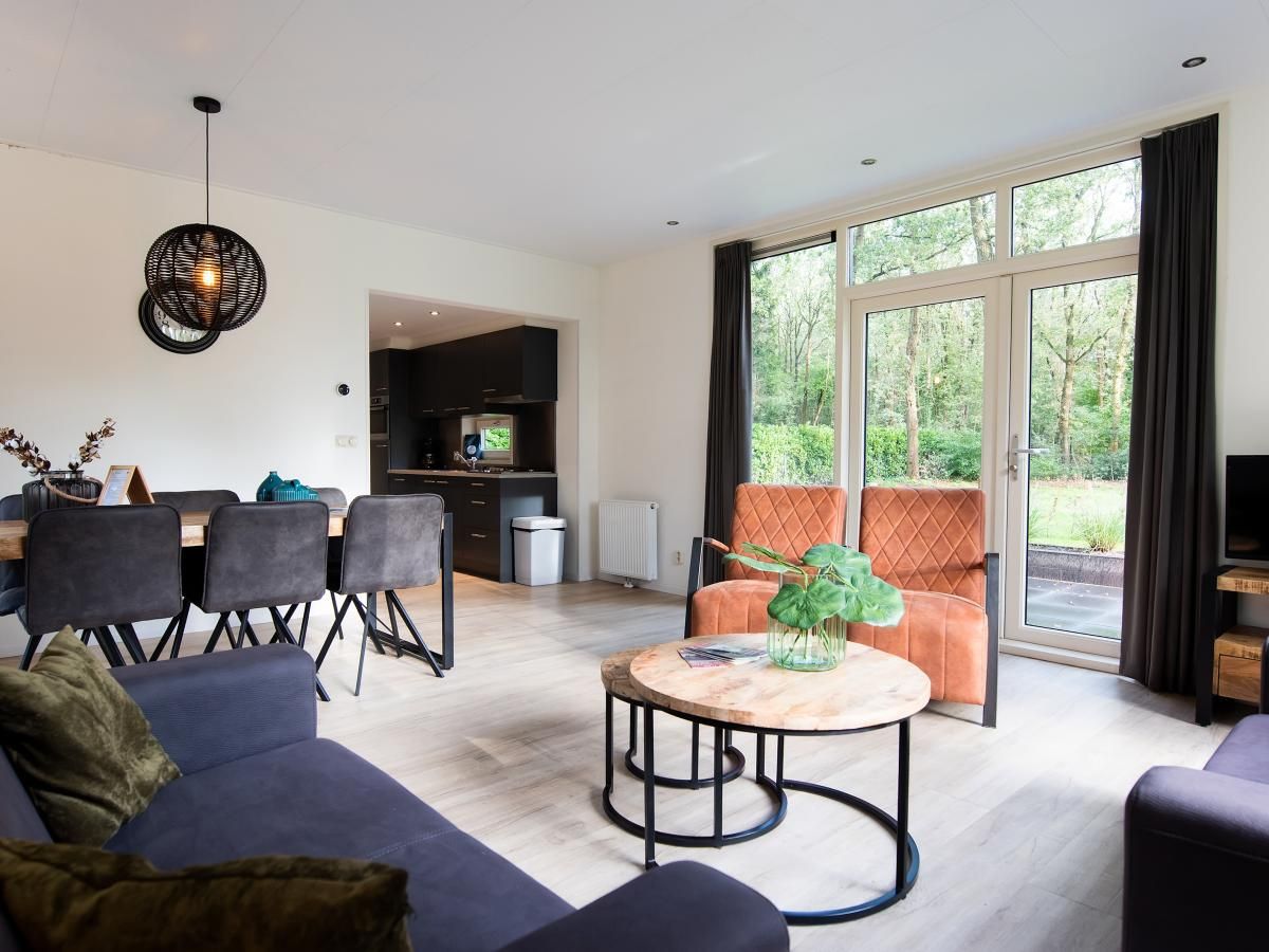 Gezellige woonkamer van chalet De Ganzenpoel in Zorgvlied, Zuidwest Drenthe, met uitzicht op groene natuur en moderne inrichting.
