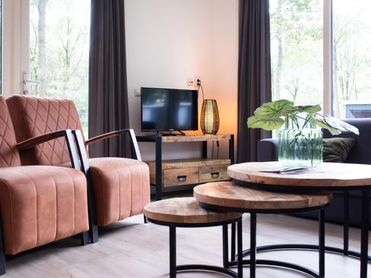 Gezellige woonkamer van De Ganzenpoel chalet in Zorgvlied, Zuidwest Drenthe, met moderne inrichting en uitzicht op de omringende natuur.