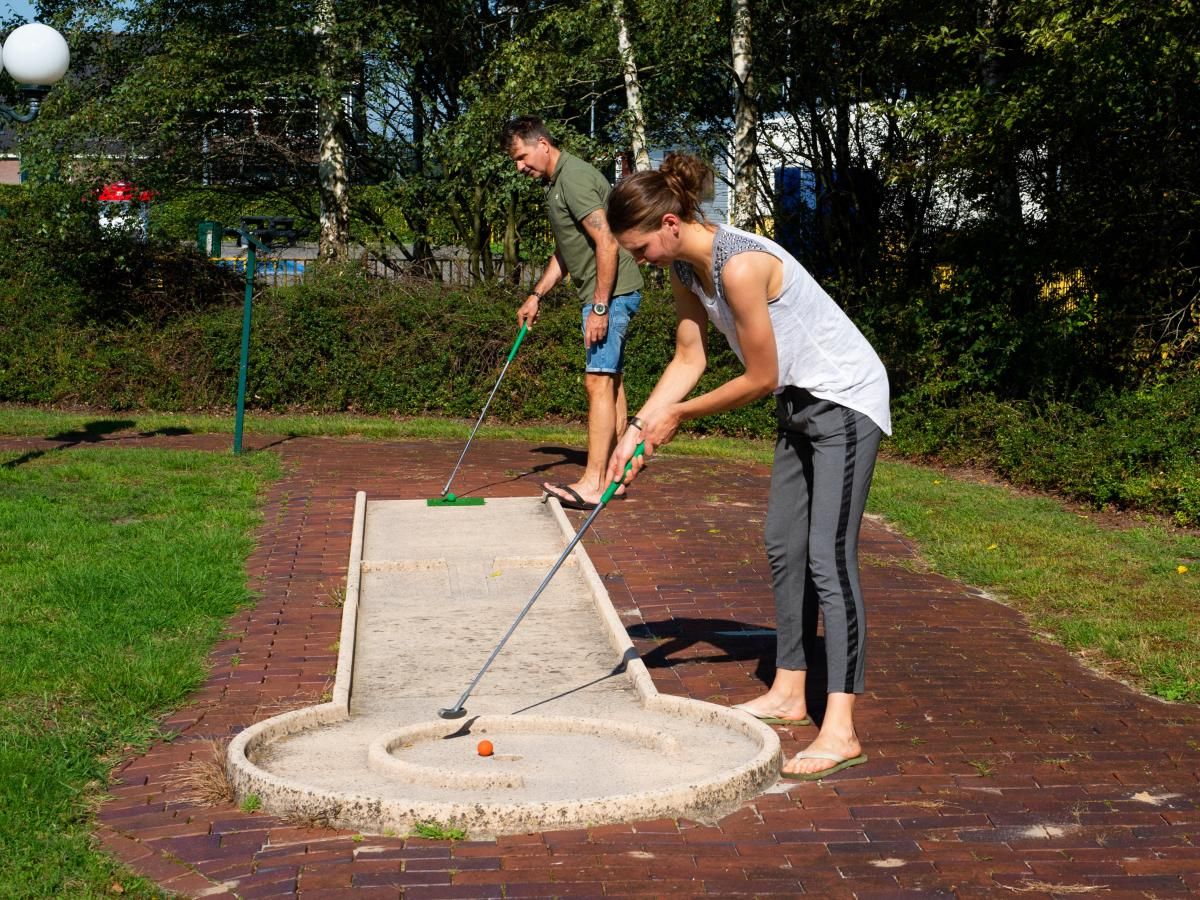 Verblijf 201558 - Chalet Zuidwest Drenthe - De Ganzenpoel