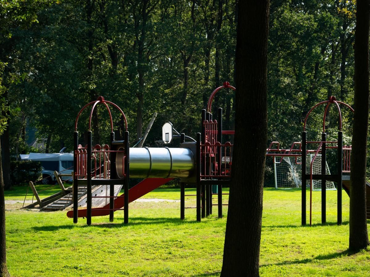 Verblijf 201558 - Chalet Zuidwest Drenthe - De Ganzenpoel