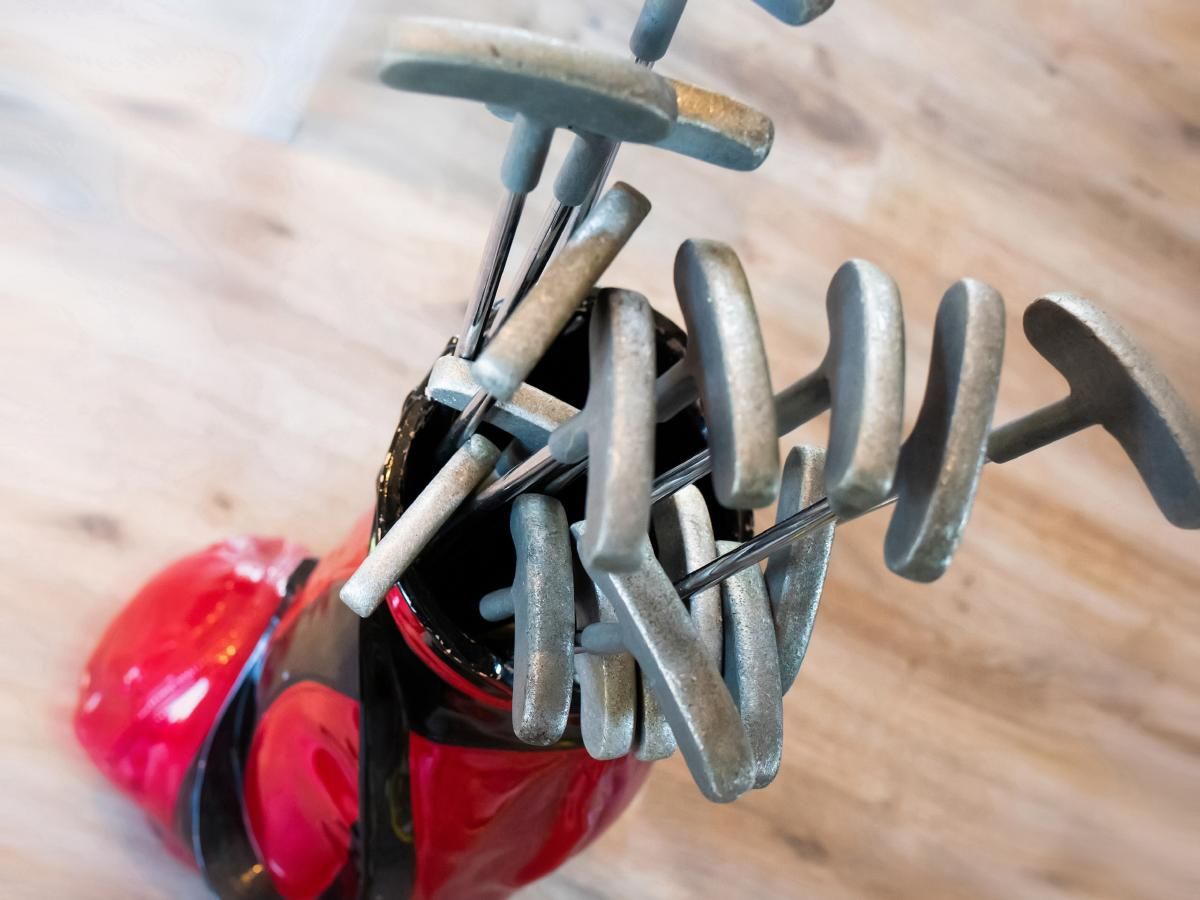 Verblijf 201558 - Chalet Zuidwest Drenthe - De Ganzenpoel