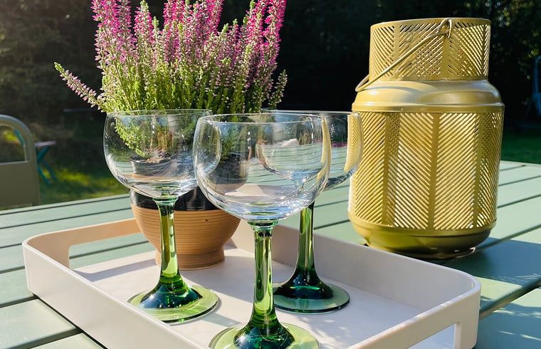 Guest house 201569 - Holiday property Zuidwest Drenthe - Vakantiehuisje in Zorgvlied