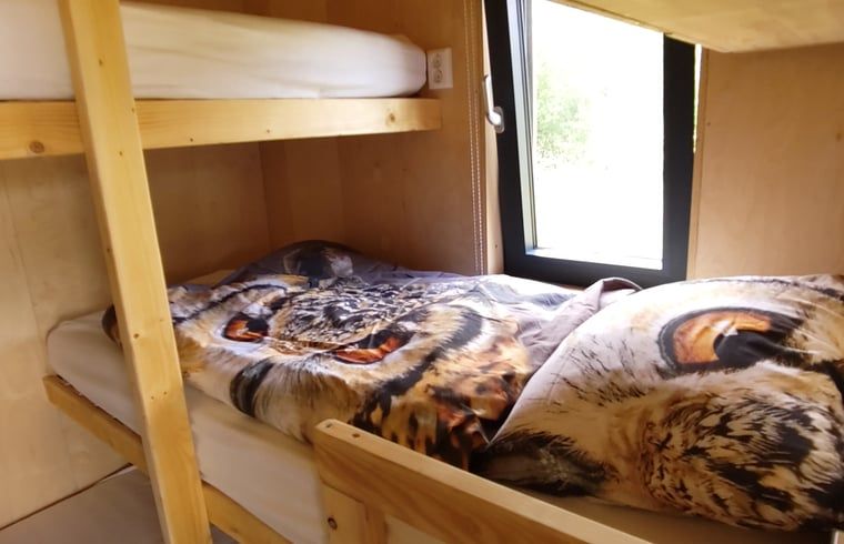 Bunk bed in Holiday cottage in Vledder, Southwest Drenthe, ideal for children.