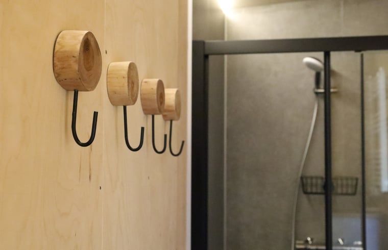 Modern bathroom in Holiday Home in Vledder, Southwest Drenthe, with practical details.