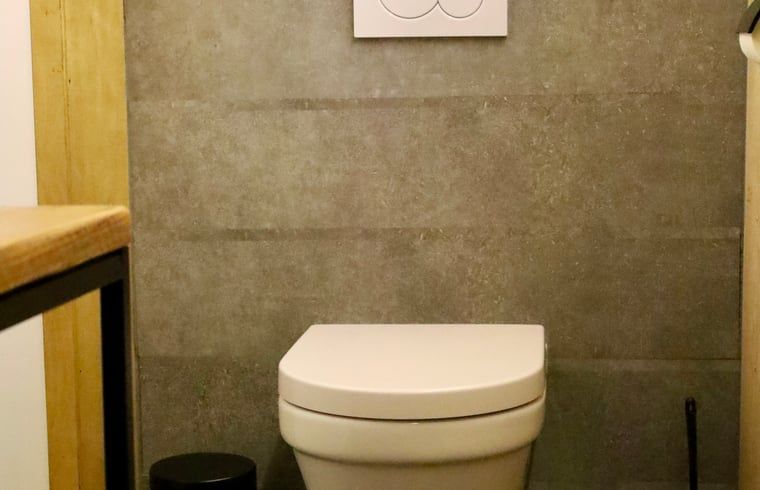 Toilet in Holiday Home in Vledder, Southwest Drenthe, with sleek finish.