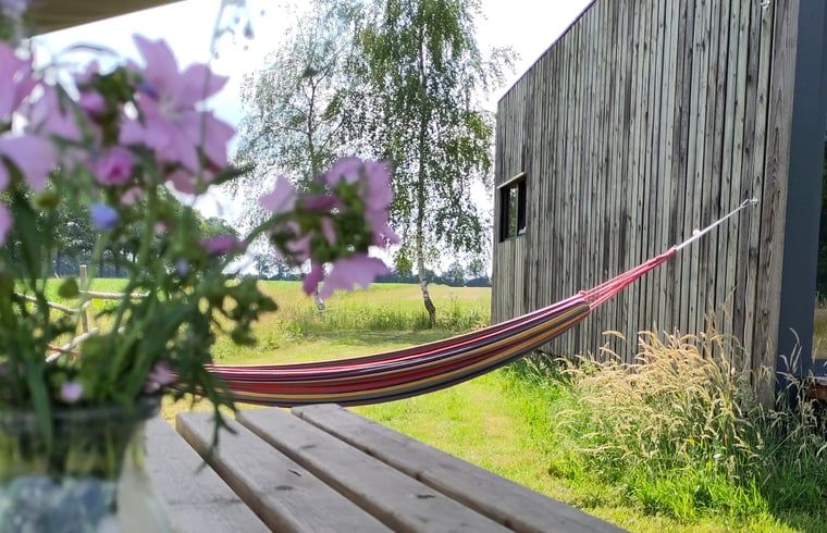 Hammock and flowers at Holiday Home in Vledder, Southwest Drenthe, for ultimate relaxation.