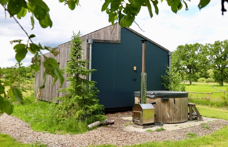 Hot tub next to Cottage in Vledder, Southwest Drenthe, surrounded by greenery.