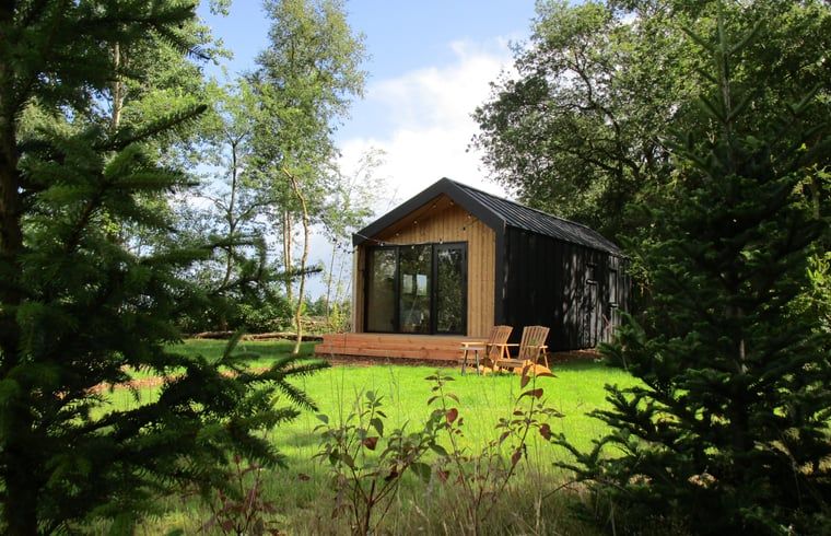 Vacation home in Vledder with veranda surrounded by nature in Southwest Drenthe.