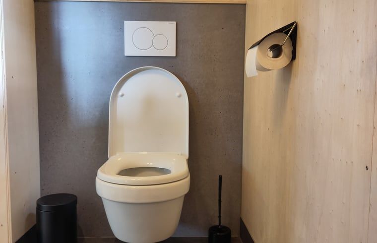 Stylish toilet in Holiday Home in Vledder, Southwest Drenthe.