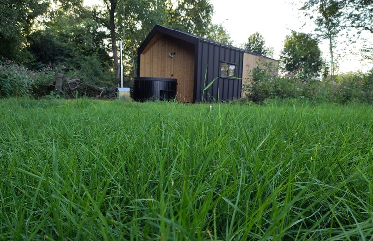 Green surroundings around Holiday home in Vledder, Southwest Drenthe.