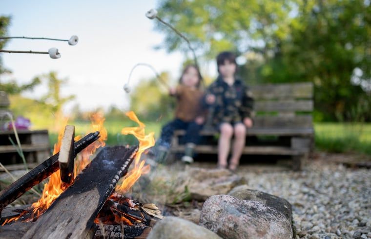 Campfire at Holiday Home in Vledder, ideal for evenings in Drenthe.