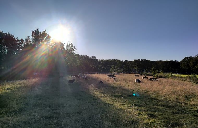 Sunset over fields at Holiday Home in Vledder, southwest Drenthe.