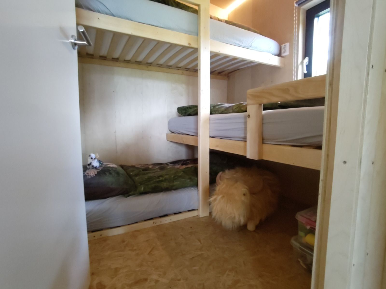 Zandstrand en meer in de omgeving van DG1834, Vledder, Zuidwest Drenthe, perfect voor ontspanning.