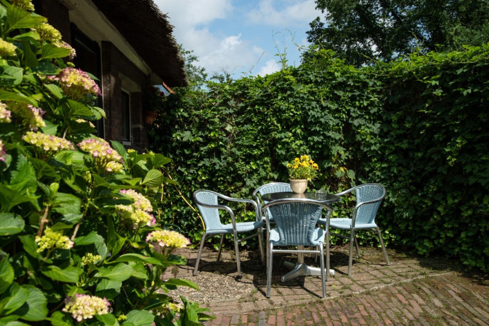 Unterkunft 201718 - Ferienhaus Zuidwest Drenthe - DG1649