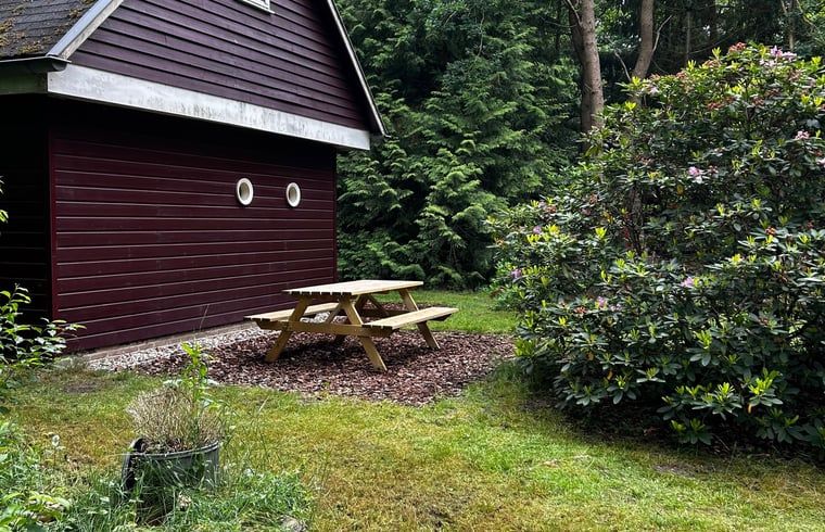 Geniet van de rust bij Huisje in Wateren, een vakantiehuis in Zuidwest Drenthe, met een gezellige picknickplek omringd door natuur.