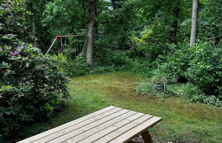 Ontspan in de groene tuin van Huisje in Wateren, Westerveld, Drenthe, met picknicktafel en schommel, omringd door natuur.