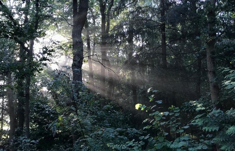 Verblijf 201807 - Vakantiewoning Zuidwest Drenthe - Huisje in Wateren (Westerveld)