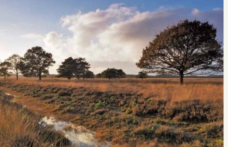 Verblijf 201807 - Vakantiewoning Zuidwest Drenthe - Huisje in Wateren (Westerveld)