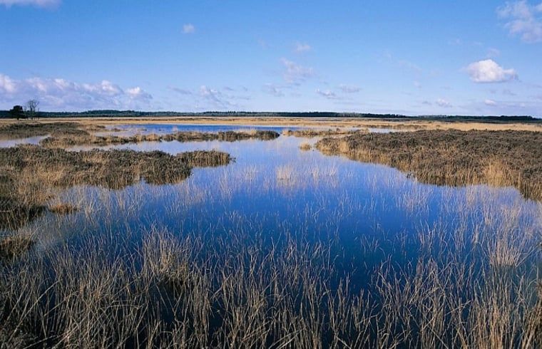 Verblijf 201807 - Vakantiewoning Zuidwest Drenthe - Huisje in Wateren (Westerveld)