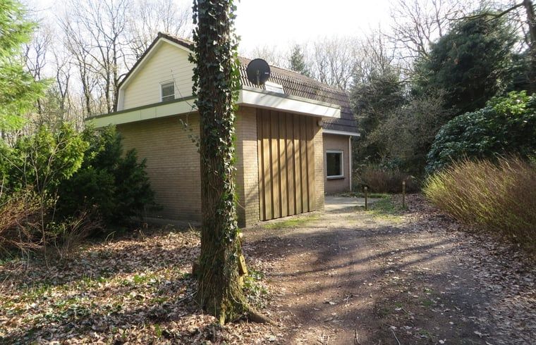 Rueckseite des Ferienhauses in Wateren, Westerveld, umgeben von Baeumen im Suedwesten von Drenthe.