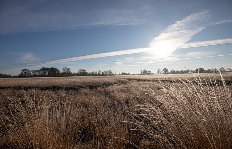 Gestrecktes Feld bei Sonnenaufgang in der Naehe von Cottage in Wateren, Westerveld, Ferienhaus in Suedwest-Drenthe.