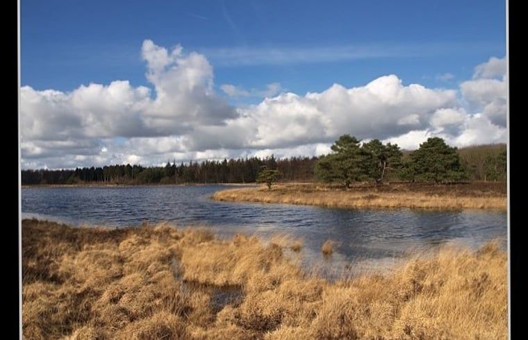 Schoener Seeblick in der Naehe des Ferienhauses in Wateren, Westerveld, Drenthe.