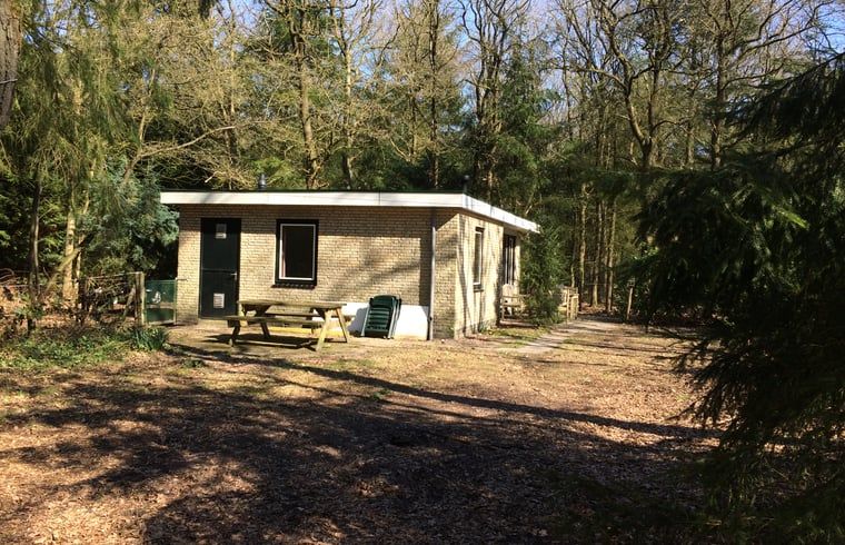 Ferienhaus in Wateren, Westerveld, mit Picknicktisch und Waldumgebung in Drenthe.